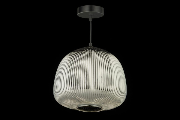 Подвесной светильник Arti Lampadari Maggano E 1.P1 S