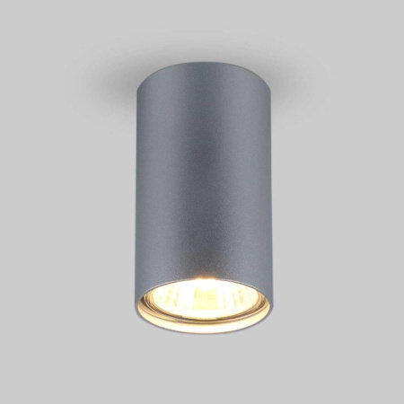 Потолочный светильник Elektrostandard 1081 5257 GU10 SL серебро a037714