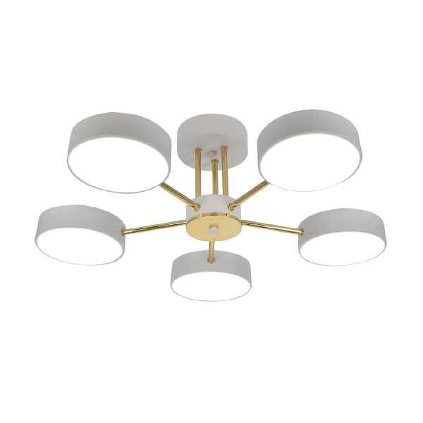 Потолочная светодиодная люстра Escada Rune 10262/5LED