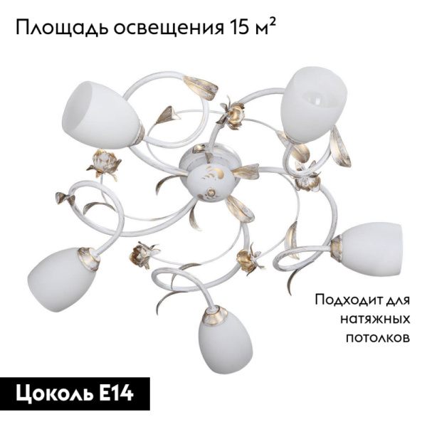 Потолочная люстра Vitaluce V1538/5PL