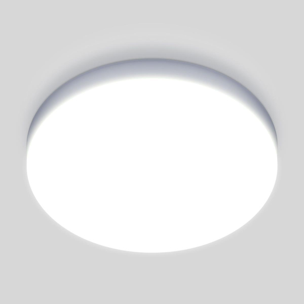 Потолочный светодиодный светильник Elektrostandard DLR043 10W 4200K a047940