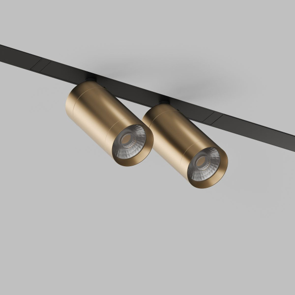 Трековый светодиодный светильник Denkirs Smart Spot DK8012-BG