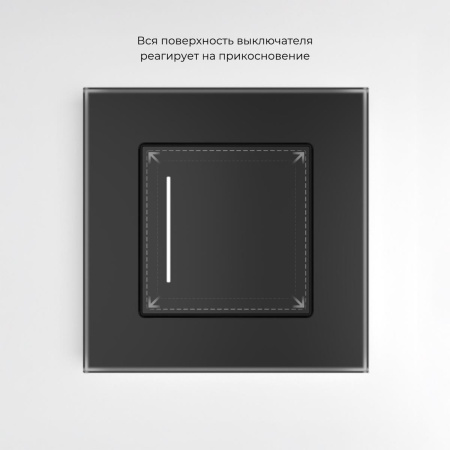 Сенсорный выключатель одноклавишный Werkel с подсветкой черный W4513008 4690389197918