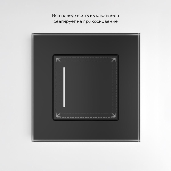 Сенсорный выключатель одноклавишный Werkel с подсветкой черный W4513008 4690389197918