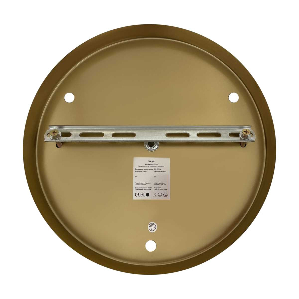 Потолочная люстра Freya Полли / Polli FR5449CL-03G