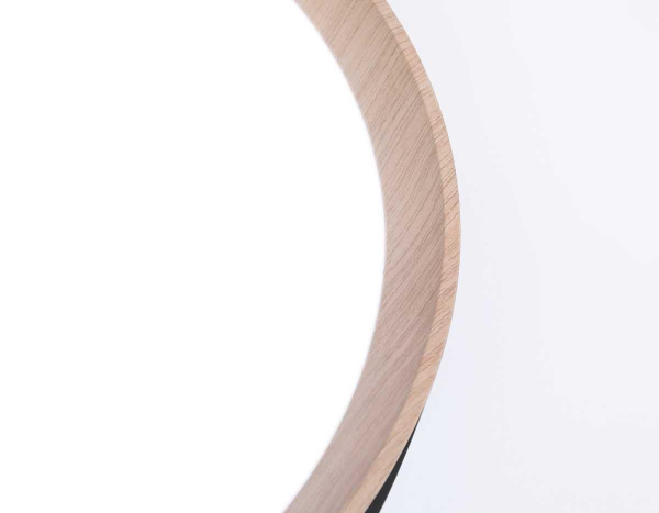 Потолочный светодиодный светильник Ambrella light Orbital Design FZ1324