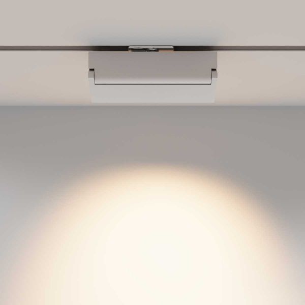 Трековый светильник Maytoni Technical TR224-1-12WCCT-M-W