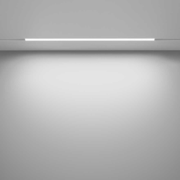 Трековый светодиодный светильник Maytoni Technical Basis TR030-4-24W3K-WW-DS-W