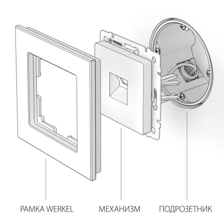 Розетка Ethernet RJ-45 Werkel шампань рифленый W1181010 4690389160608