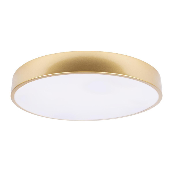 Потолочный светодиодный светильник Loft IT Flims 10228/A