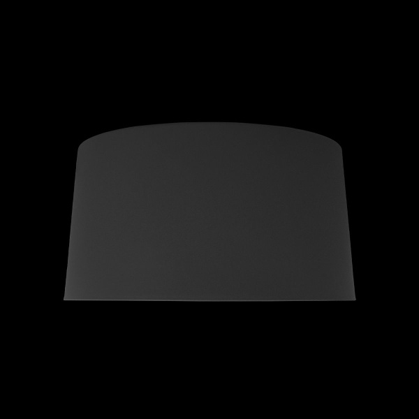 Потолочный светодиодный светильник Loft IT Duo 10360M Grey