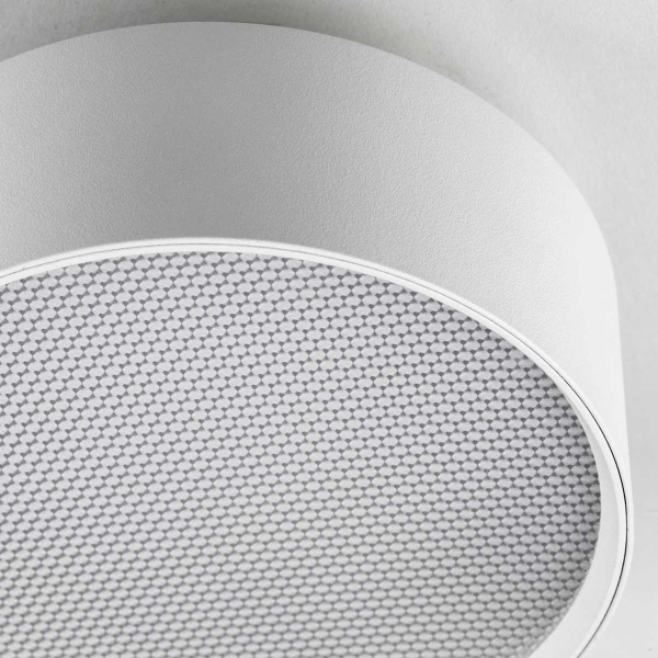 Светильник накладной Lightstar Acuto 215936