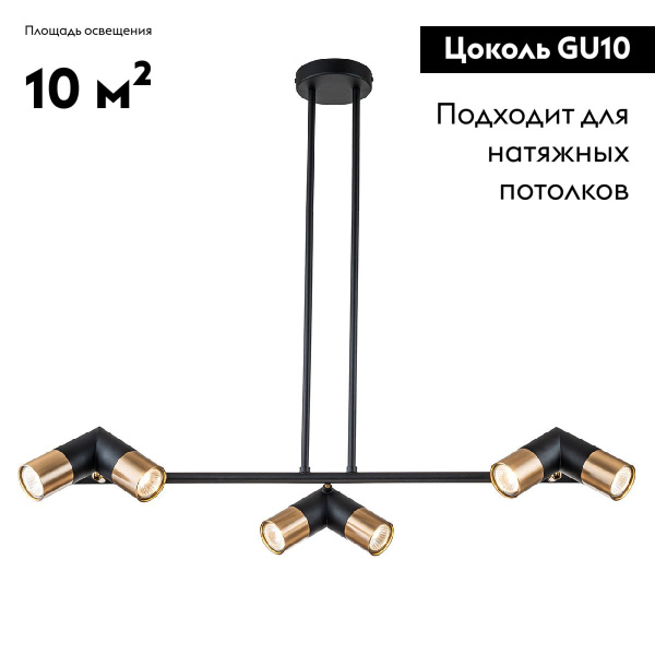 Подвесная люстра Indigo Doppio 11036/6R Black V000452
