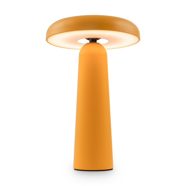 Настольная аккумуляторная лампа Freya Mushroom FR6109TL-L4OR