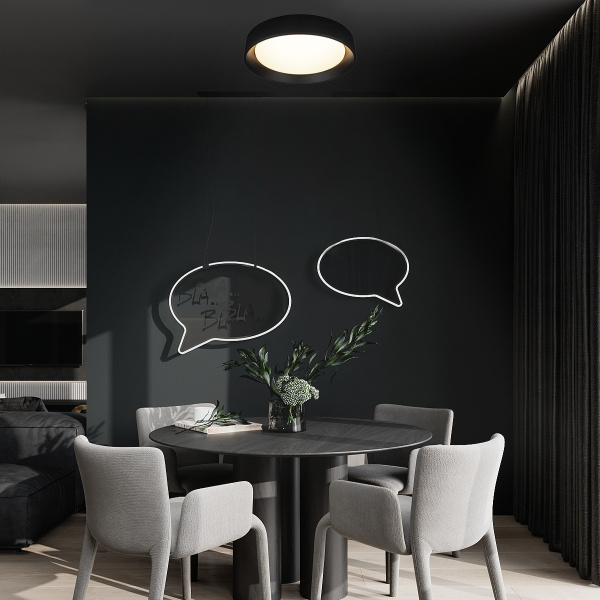 Потолочный светильник Loft it Coin 10202 BB