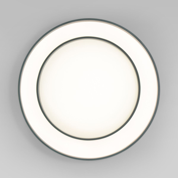 Потолочный светодиодный светильник Eurosvet Force 90330/2 серый