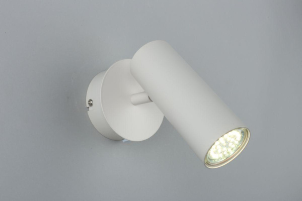 APL.004.01.01 Rein Спот