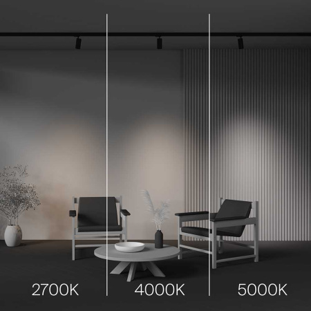 Трековый светодиодный светильник Maytoni Technical Focus Led TR197-3-12WCCT-M-B