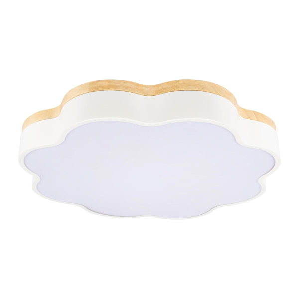 Потолочный светодиодный светильник Loft IT Axel 10225/36 White