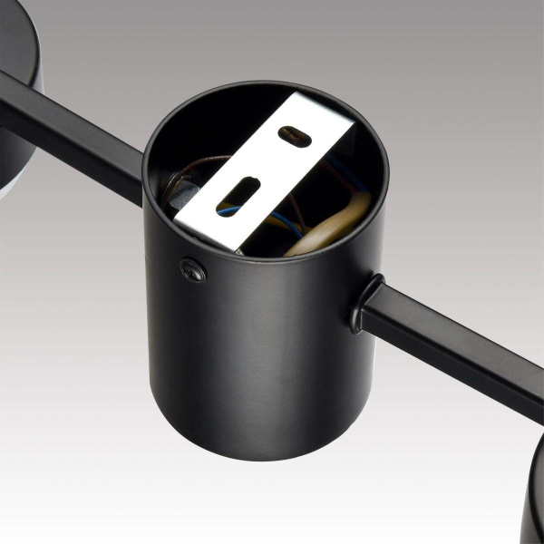 Потолочная люстра Lumion Comfi Sanata 8187/6C