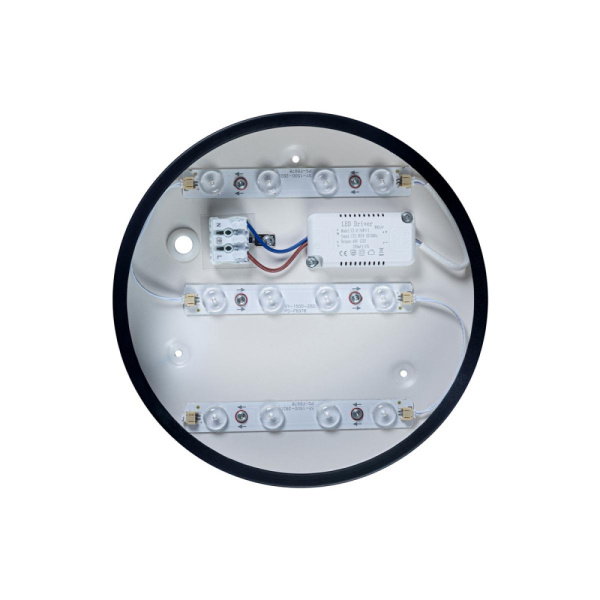 10002/12 Black Светильник потолочный LOFTIT Axel, шт