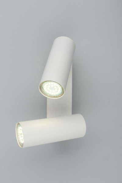 APL.004.01.02 Rein Спот