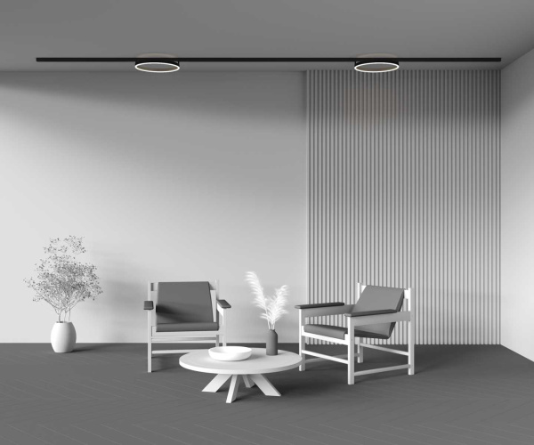 Трековый светильник Maytoni Technical TR227-2-24W4K-B