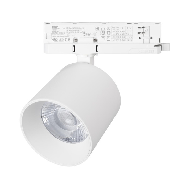 Светильник LGD-DYKE-4TR-R100-36W Day4000 (WH, 50 deg, 230V) Arlight 052291