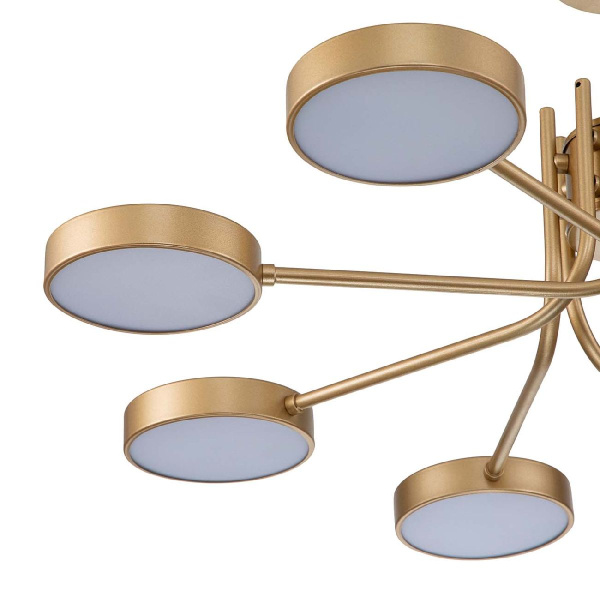 Потолочная светодиодная люстра Escada Skylar 10258/8LED