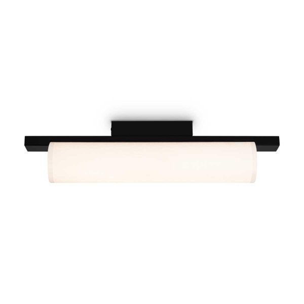 Потолочный светильник Freya Modern Even FR5625CL-L20B