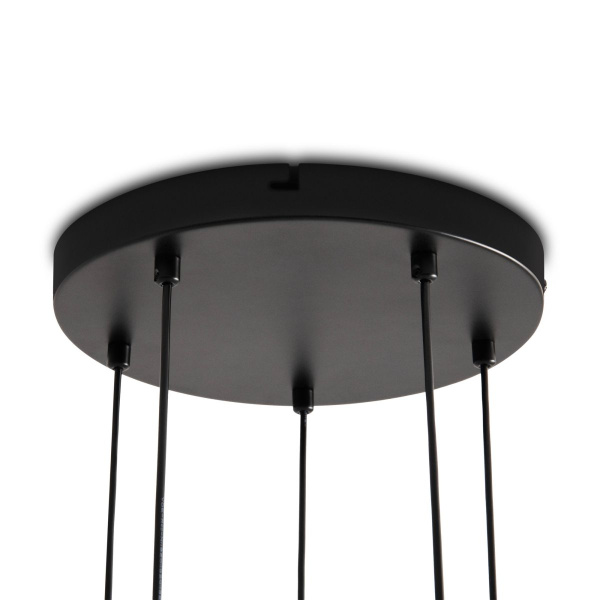 Подвесная люстра Freya Radiant FR5642PL-05B