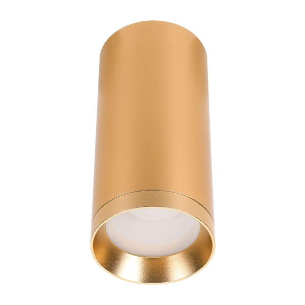 Потолочный светильник Lucia Tucci LTP-C005-01GU10-G