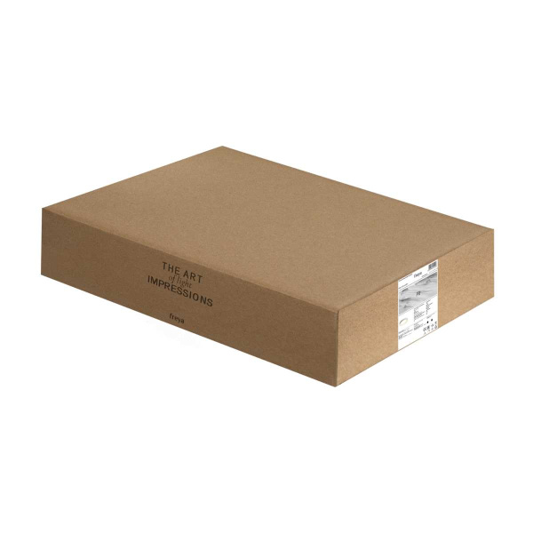 Потолочный светильник Freya Соответствие / Fit FR6157CL-L65W