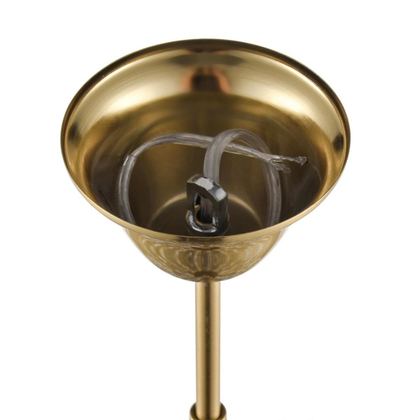 Люстра Lumion CLASSI 8319/8