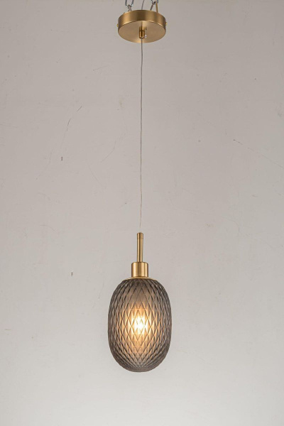 Подвесной светильник Arti Lampadari Magliano E 1.P2 S