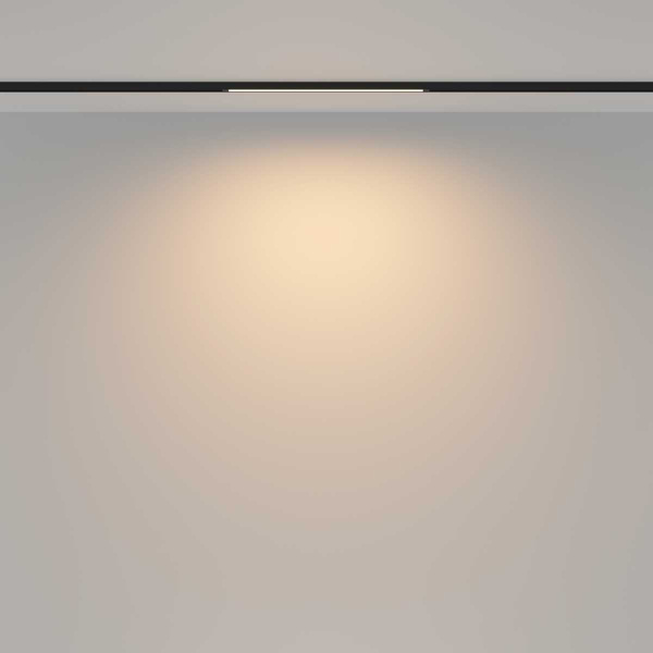 Трековый светильник Maytoni Technical TR173-1-8WTW-B