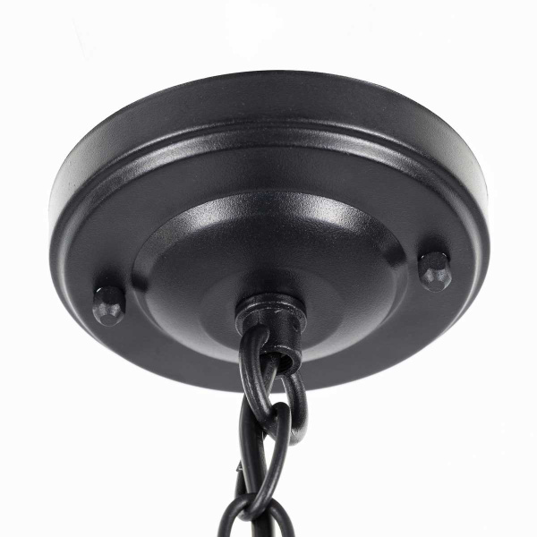 Уличный подвесной светильник Citilux Forts CLU09S