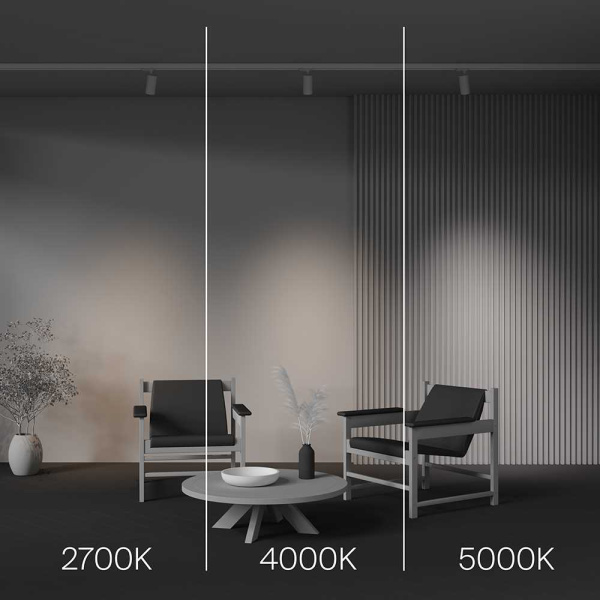 Трековый светодиодный светильник Maytoni Technical Focus Led TR197-3-12WCCT-M-W