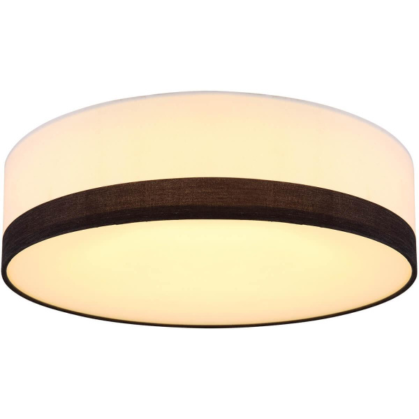 Потолочный светодиодный светильник Globo Maggy 15385D1