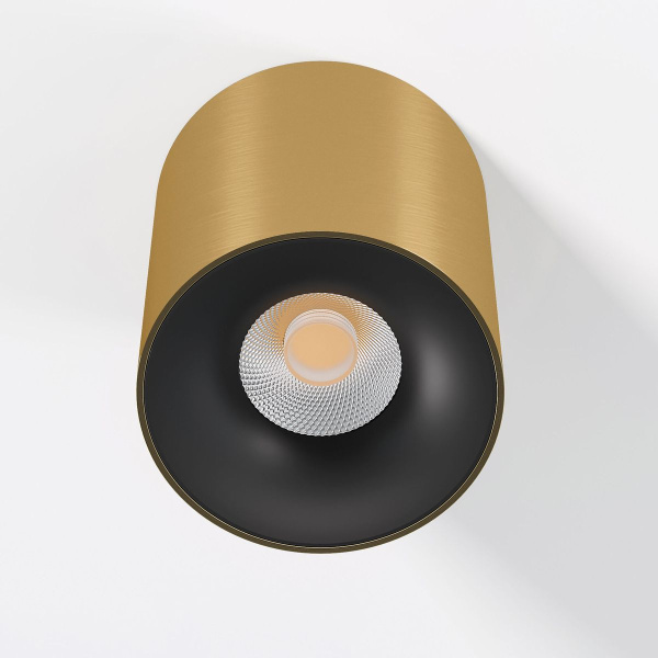 Потолочный светодиодный светильник Elektrostandard Primo 25116/LED a069414