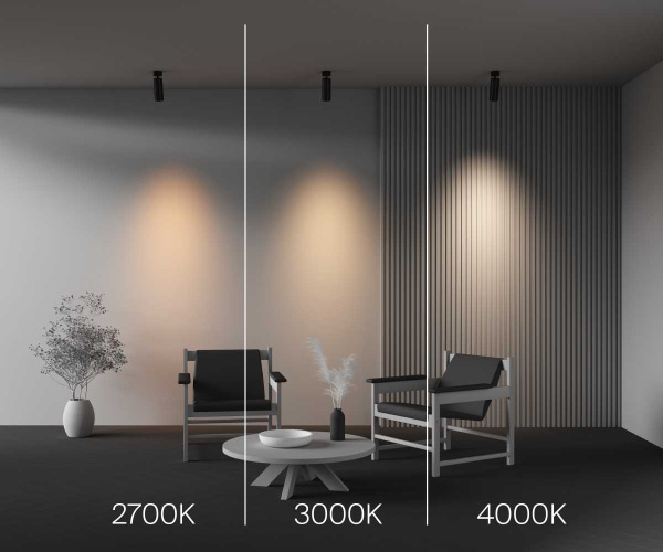 Потолочный светильник Maytoni Technical Ceiling FOCUS LED C055CL-L20W2.7-3-4K-M-B