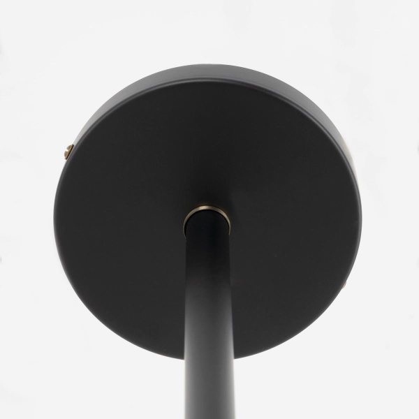 Потолочная люстра Citilux Планета CL105355