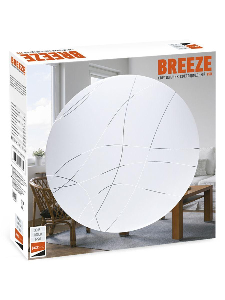 Настенно-потолочный светодиодный светильник Jazzway PPB Breeze 5026582