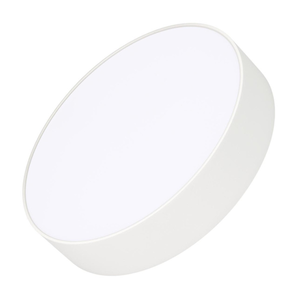 Потолочный светодиодный светильник Arlight SP-Rondo-R250-30W Day4000 022232(2)