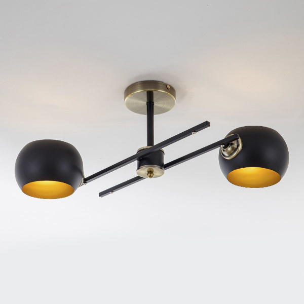 Потолочная люстра Modelux Modemodern MD.5171.2