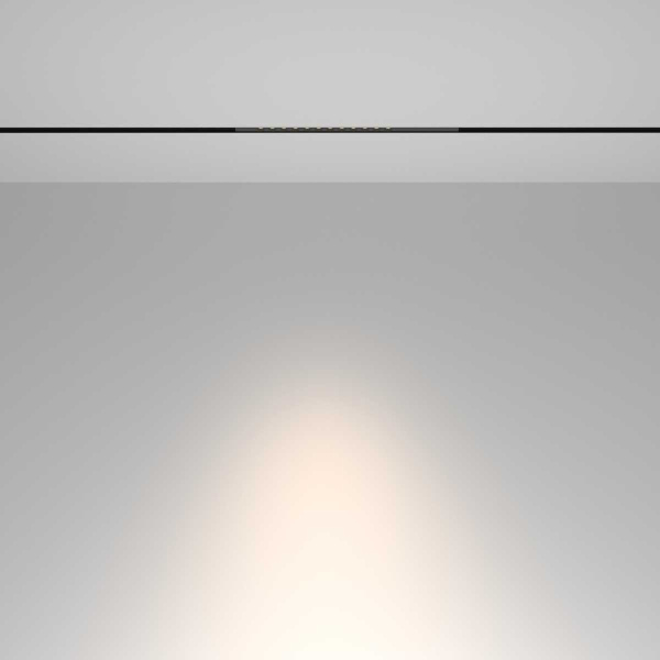 Трековый светильник Maytoni Technical TR232-2-10W4K-B