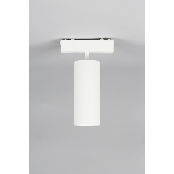 Трековый светильник Aployt Magnetic track 48 APL.0114.10.18