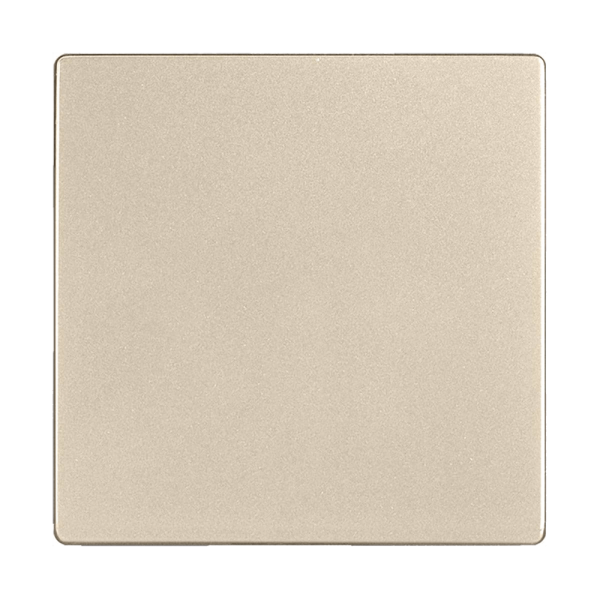 Заглушка Werkel шампань W1159211 4690389157349