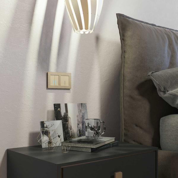 Сенсорный выключатель двухклавишный Werkel с подсветкой шампань W4520011 4690389179587