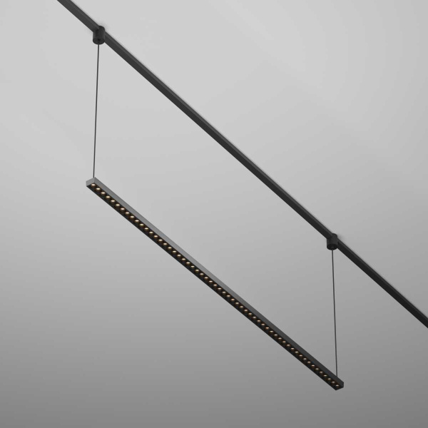 Трековый подвесной светильник Maytoni Technical TR169-1-52W3K-M-B